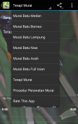 Master Kicau Murai Batu screenshot 3