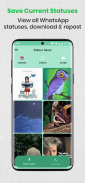 Status Saver for WhatsApp - Save & Download Status screenshot 3
