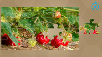 Fruits and Vegetables for Kids - Flashcards Puzzle screenshot 8