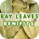 Bay Leaves Benefits