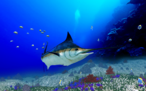 The Blue Marlin screenshot 10