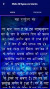 शिव मंत्र (Shiva Mantra) screenshot 15