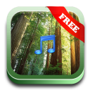 Nature Forest Sounds Relax Icon