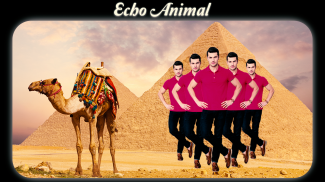 Echo Animal Effect : echo mirror with animal screenshot 2