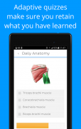 Daily Anatomy: Flashcard Quizzes to Learn Anatomy screenshot 10