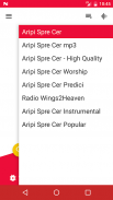 Radio Crestin Aripi Spre Cer screenshot 1