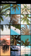 Palm Tree Wallpapers screenshot 5