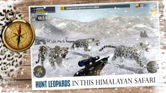 Animal Hunting Games Gun Games screenshot 13