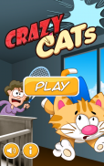 Crazy Cats screenshot 19