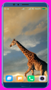 Giraffe Wallpaper screenshot 1