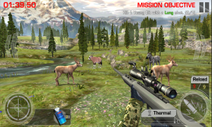 Deer Hunting Kill Shot screenshot 3