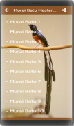 Kicau Burung Murai Batu screenshot 5