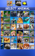 Mix Aminals. Animal morphing screenshot 15