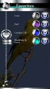 पक्षी रिंगटोन screenshot 3