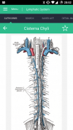 Lymphatic System Reference screenshot 4
