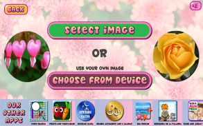 Puzzles of Flowers Free screenshot 10