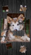 Pets Jigsaw Puzzle Game screenshot 6