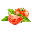 Tomato: from "A" to "Z" Icon