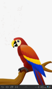 اصوات الطيور - Birds Sounds screenshot 2