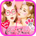 Cat Face Plus Icon