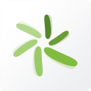 Green Star Icon