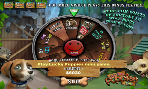 Pet Store Puppy Dog Vegas Casino Slots FREE screenshot 1