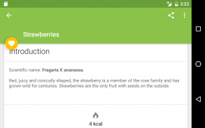 Fruits Nutrition and Benefits screenshot 12