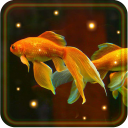 Aquarium Gold Fishes LWP Icon