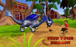 Real Dragons Training -  Super Dragon Simulator screenshot 14