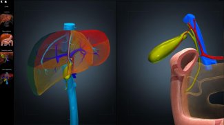 Anatomy Learning - 3D Anatomy screenshot 10