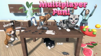 Simulador de Gato y sus amigos 🐾 screenshot 5