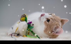 Xmas Cat Live Wallpaper screenshot 6