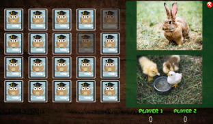 All Animals Pairs Memory Game screenshot 15