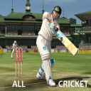 All Cricket Icon