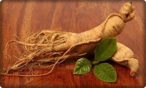 ginseng cultivation in pots screenshot 6