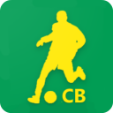 Copa do Brasil 2024 icon