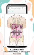 Nurses' HBK Health Assessment screenshot 3