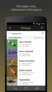 Ptushki – Определитель птиц Беларуси screenshot 2