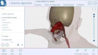 Nervoso e digestório-3D-Grátis screenshot 4