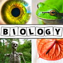 General Science Biology Quiz and Trivia