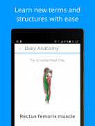 Daily Anatomy: Flashcard Quizzes to Learn Anatomy screenshot 5