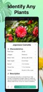 PictureThis - 꽃 & 식물 찾기 screenshot 4
