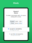 Wlingua -ucz się hiszpańskiego screenshot 4