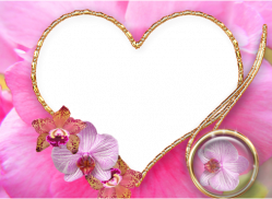 Pink Heart Frames screenshot 4