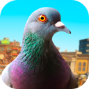 Pigeon Icon