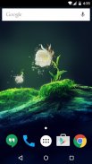 Cactus Flower Live Wallpaper screenshot 1