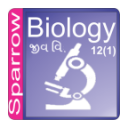 Gujarati 12 Biology semester-3