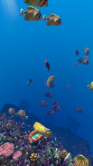 Ocean Aquarium screenshot 20