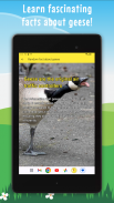 Honking App screenshot 6