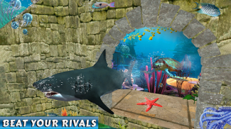 carreras de agua de tiburones screenshot 10